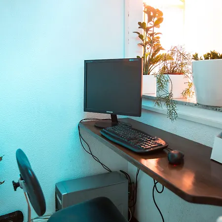 Delfino 세니갈리아